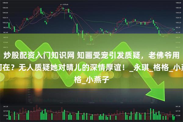 炒股配资入门知识网 知画受宠引发质疑，老佛爷用心何在？无人质疑她对晴儿的深情厚谊！_永琪_格格_小燕子